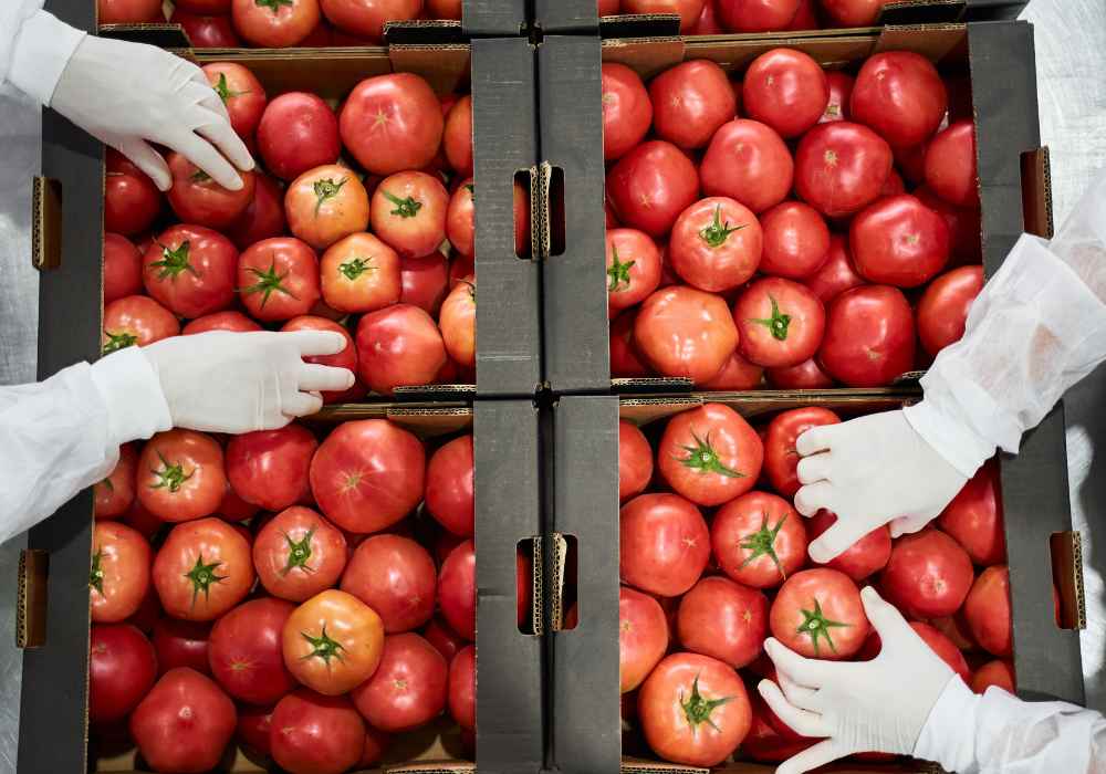 Trabajos para Empacadores de Frutas